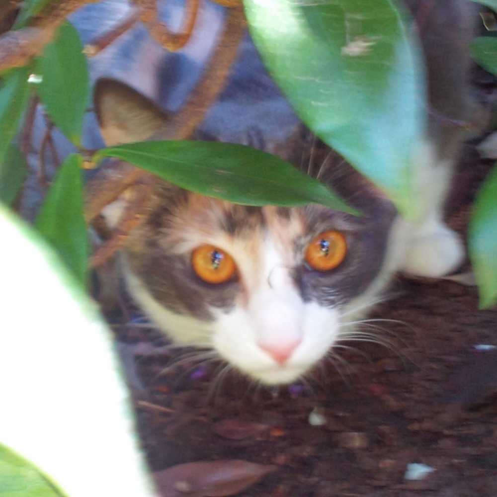 Meet your Posher, Marisa